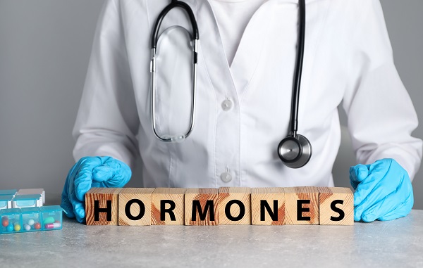 Männliche Sexualhormone: Wofür stehen sie?